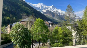 Appart Les Cosmiques, Vue Mont Blanc - Aiguille du Midi Chamonix-Mont-Blanc